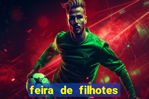 feira de filhotes porto alegre